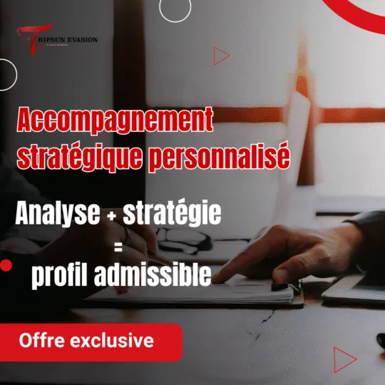 Offre "Haut Potentiel" : Plan d'Action Stratégique